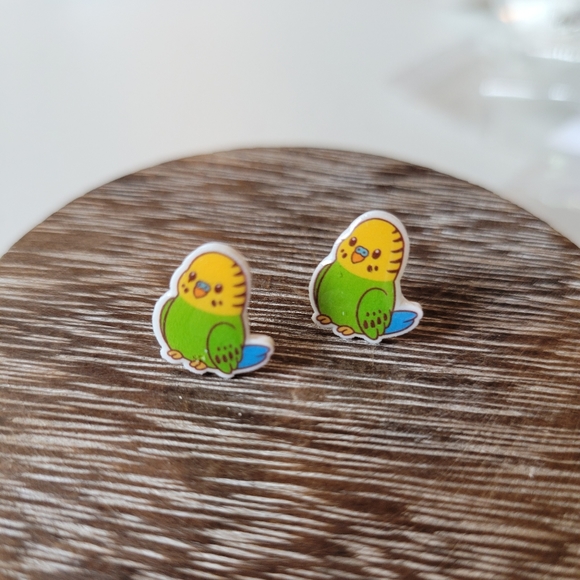 Other - NEW Cartoon Parakeet Earrings, unisex